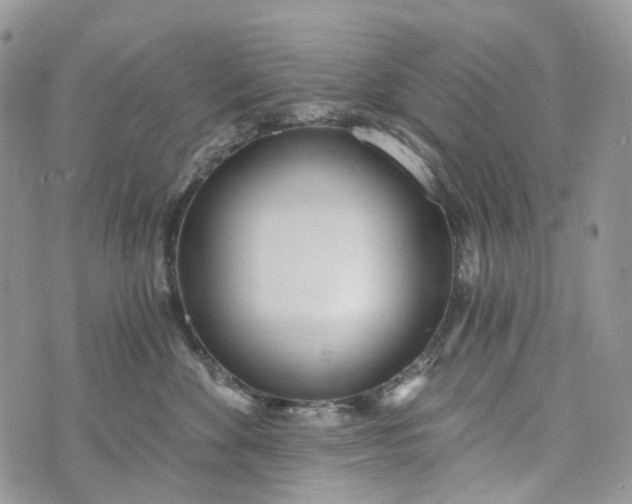 X0000073440524200608111328