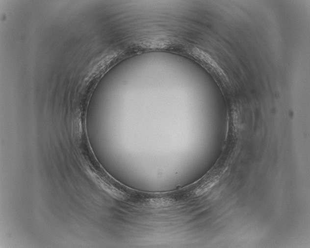 X0000073440541200608111328