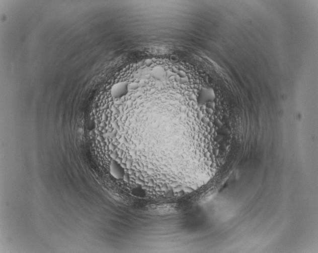 X0000073440553200608111328