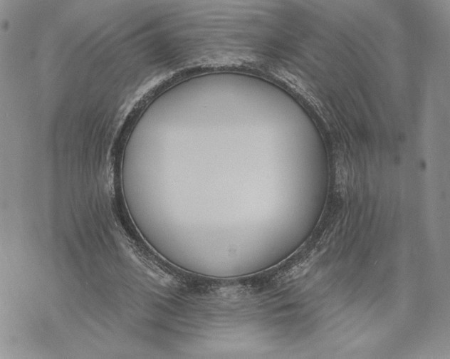 X0000073440584200608111327
