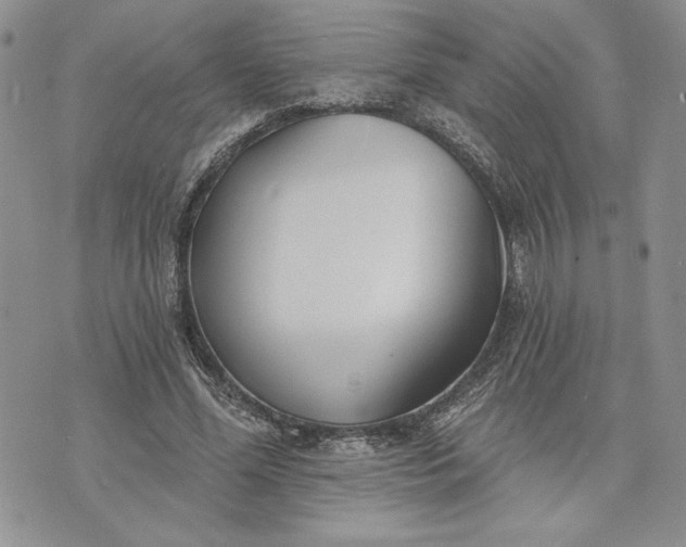 X0000073440588200608111327