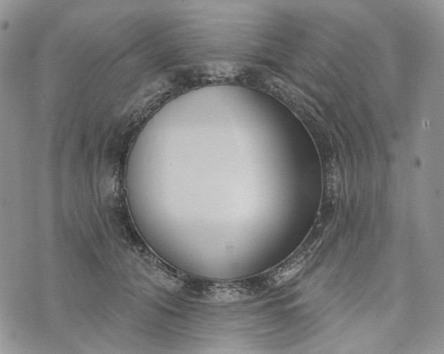 X0000073440608200608111327