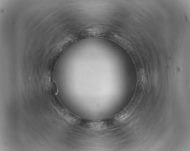 X0000073440615200608111327