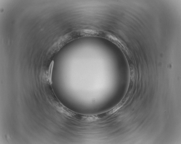 X0000073440621200608111327