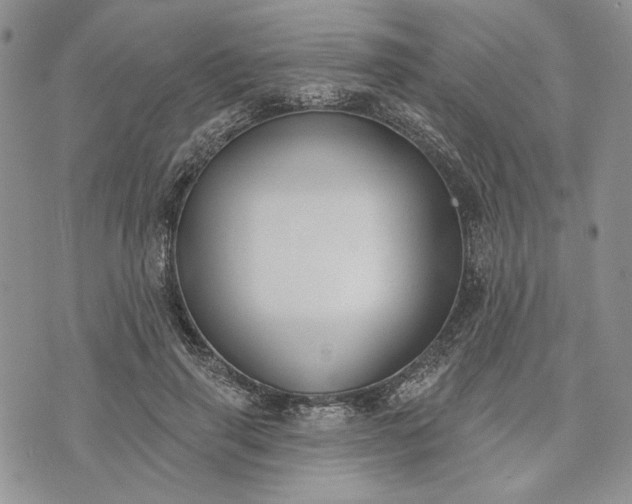 X0000073440645200608111326