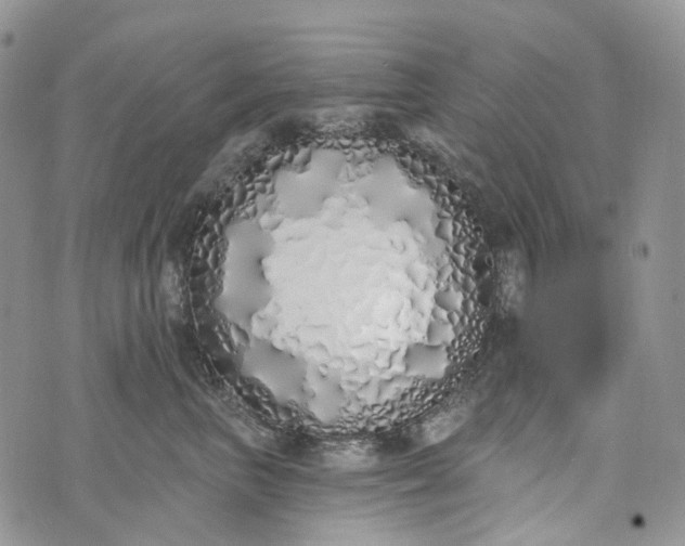 X0000073440667200608111327