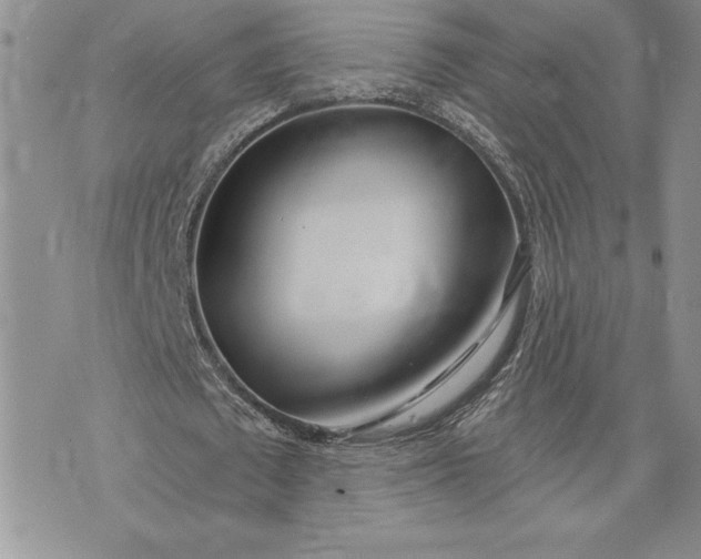 X0000073440673200608111326