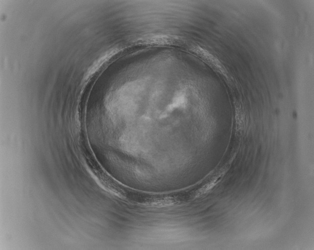 X0000073440674200608111326