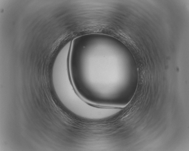 X0000073440693200608111325