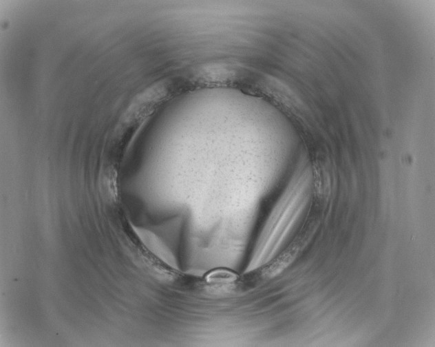 X0000073440718200608111325