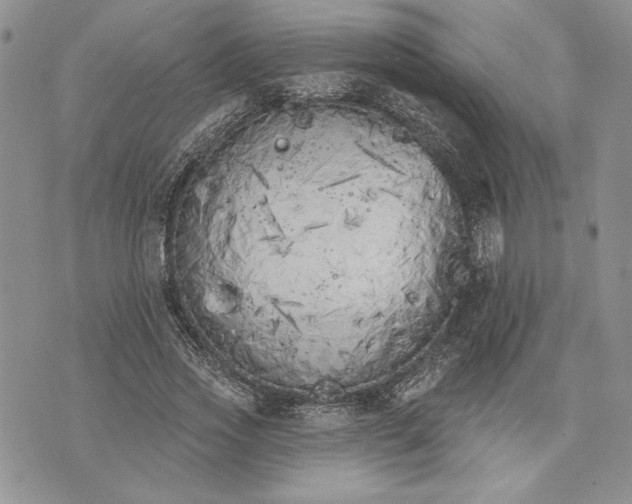 X0000073440733200608111324