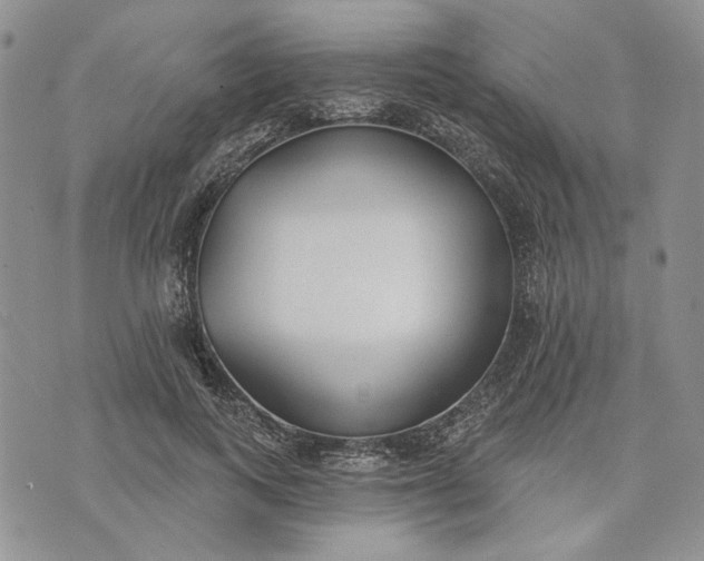 X0000073440743200608111325