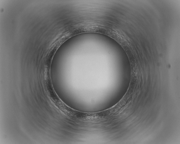 X0000073440744200608111325