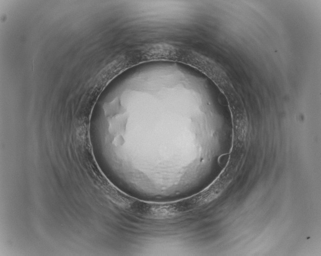 X0000073440753200608111325