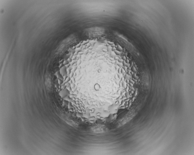 X0000073440761200608111325