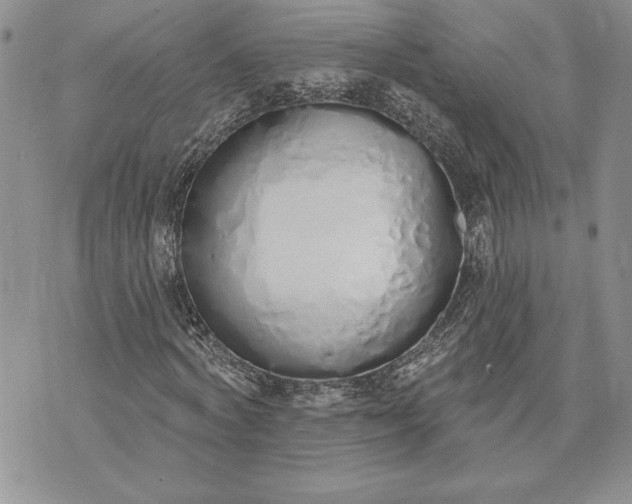 X0000073440772200608111324