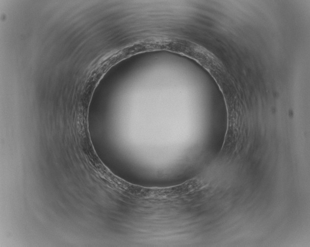 X0000073440773200608111324