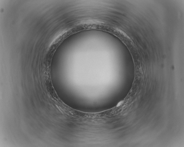 X0000073440775200608111324