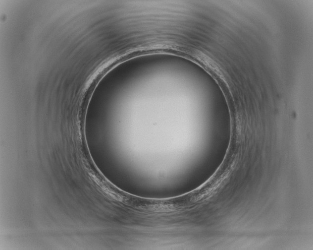 X0000073440789200608111324