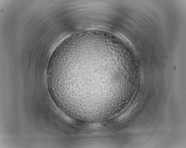 X0000073440798200608111324