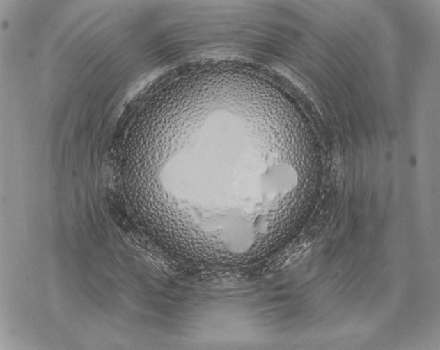 X0000073440823200608111323