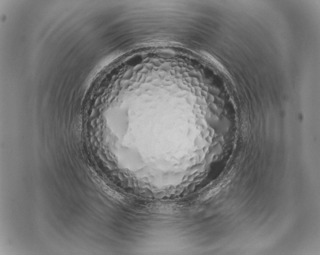 X0000073440831200608111323