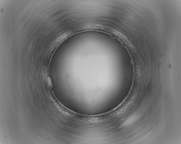 X0000073440841200608111323