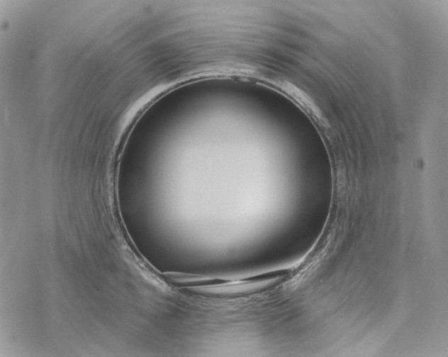 X0000073440854200608111323