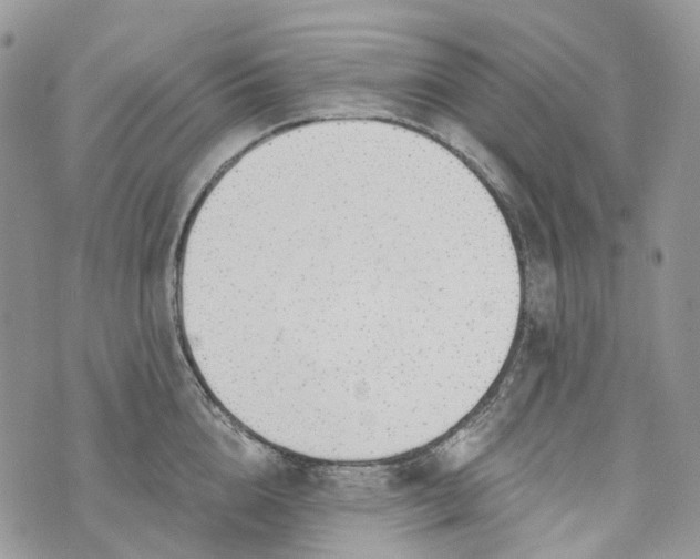 X0000073440856200608111323