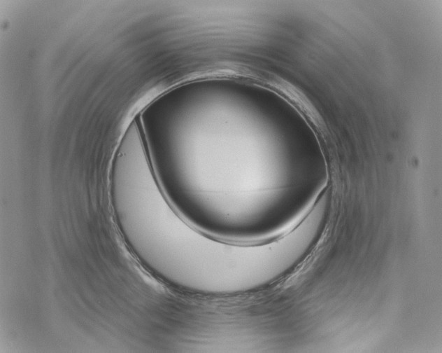 X0000073440858200608111323