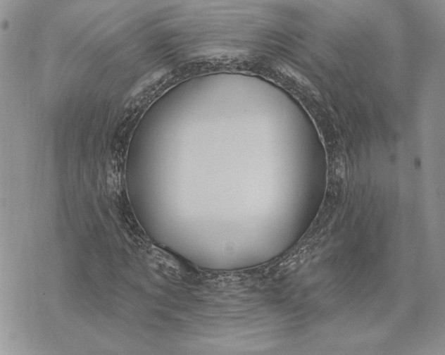 X0000073440869200608111323