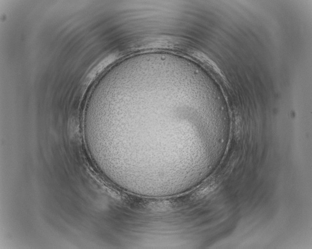 X0000073440882200608111322