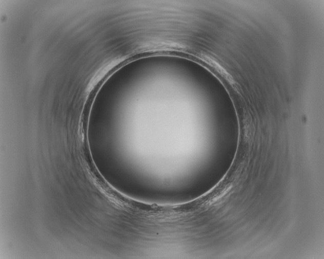 X0000073440885200608111322