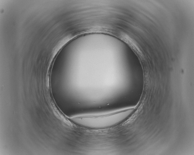 X0000073440900200608111322