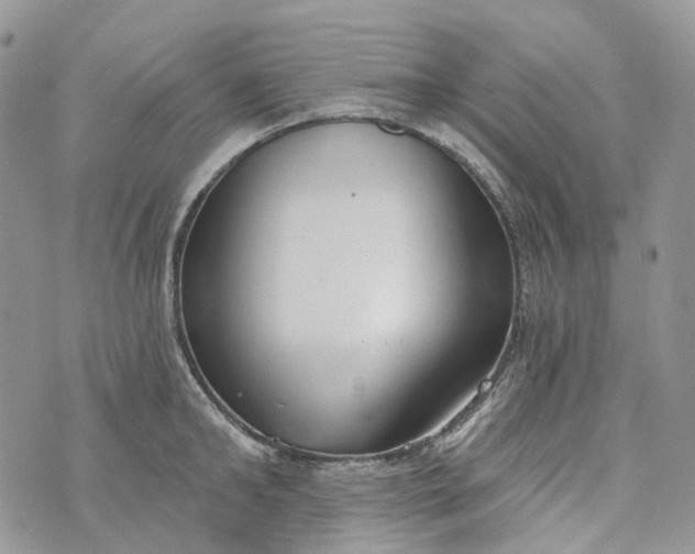X0000073440902200608111322