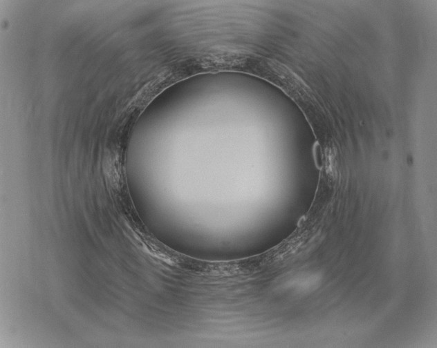 X0000073440915200608111321
