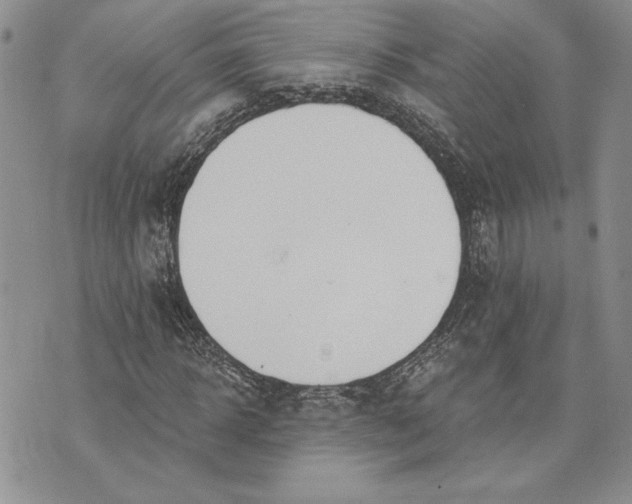 X0000073440918200608111321
