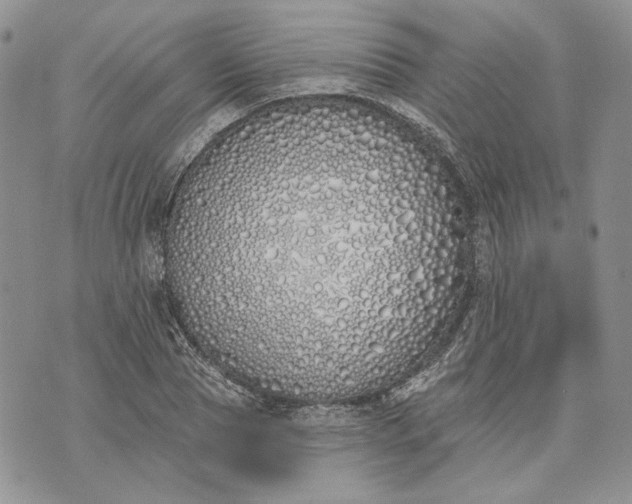 X0000073440929200608111321