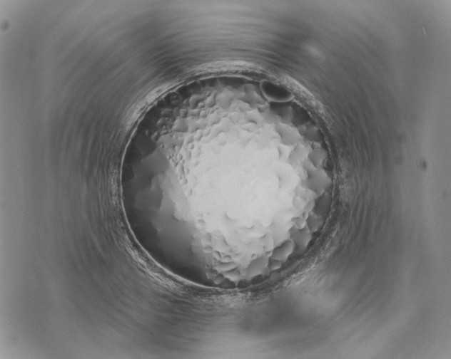 X0000073440937200608111321