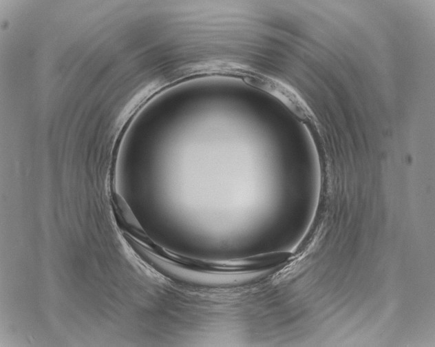 X0000073440946200608111322