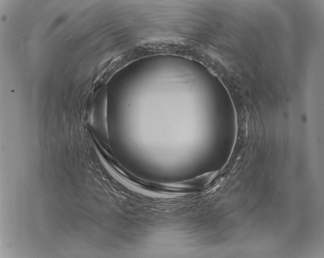 X0000073440965200608111321