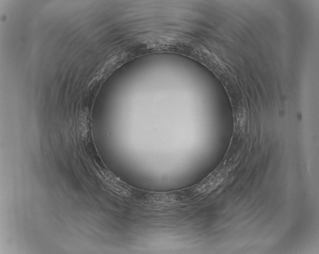 X0000073441012200608111320