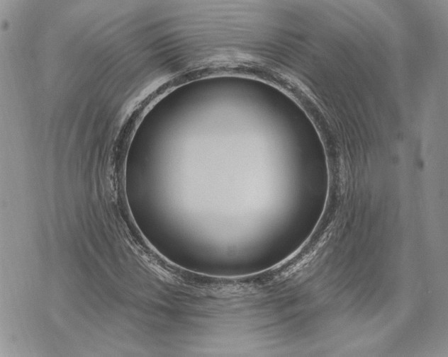 X0000073441018200608111320