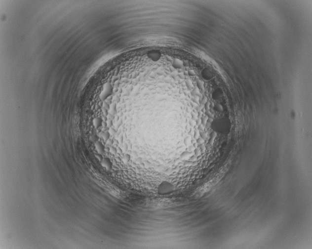 X0000073441019200608111320