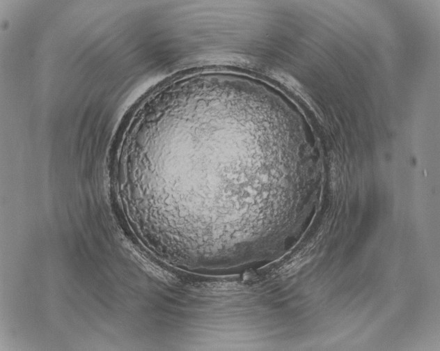 X0000073441024200608111320