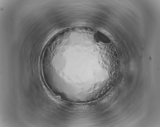 X0000073441039200608111320