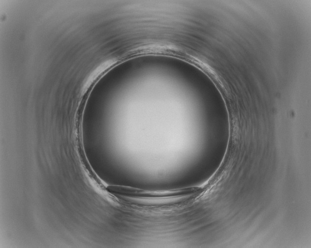 X0000073441042200608111320