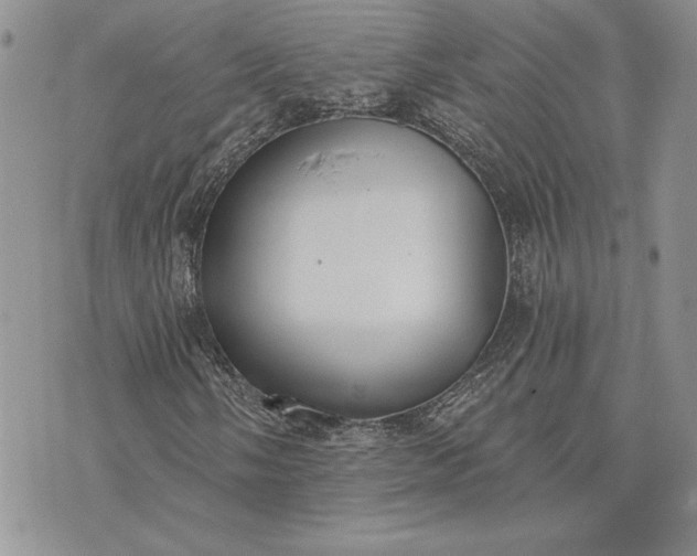 X0000073441058200608111319