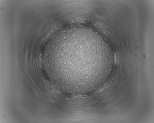 X0000073441059200608111319