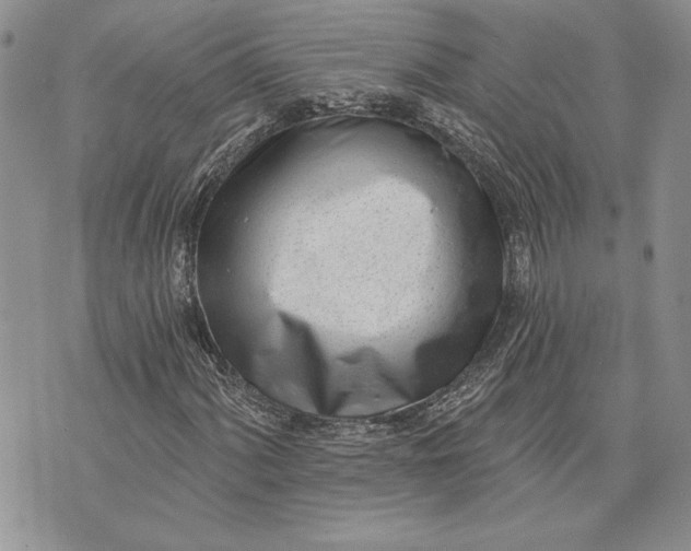 X0000073441060200608111319